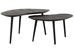 Couchtisch 2er Set Highlight Teak