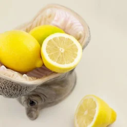 Dekoschale Hippo grau