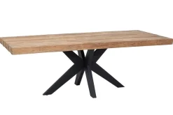Esstisch Newton Teak natur B 220 cm