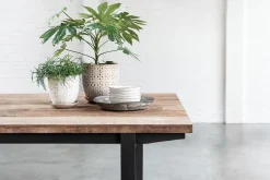 Esstisch Odeon Teak natur B 225 cm