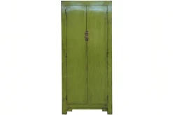 Schrank Asia grün H 200 cm