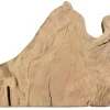 Tischplatte Mangoholz Monolith 70x56 cm