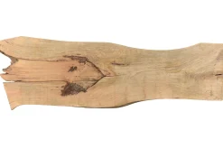 Tischplatte Mangoholz Monolith 340x112 cm